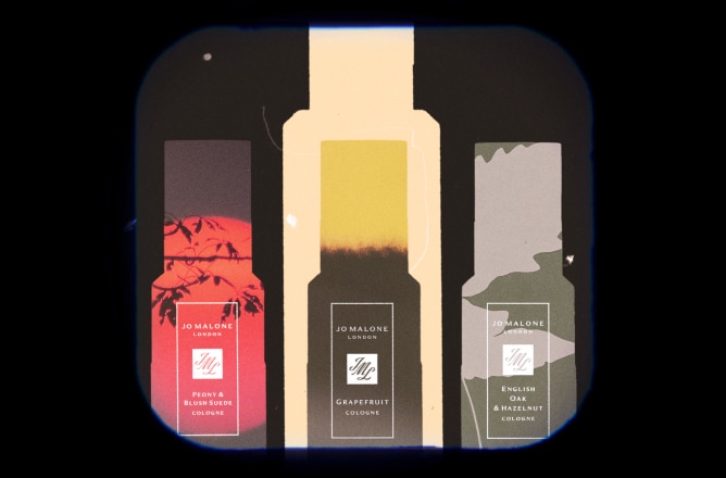 Discover Scent Layering